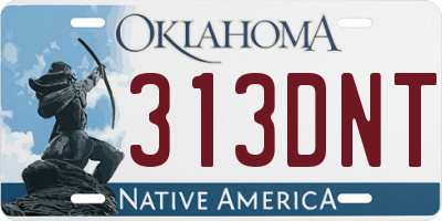 OK license plate 313DNT