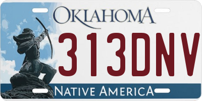 OK license plate 313DNV