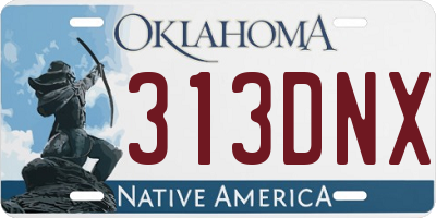 OK license plate 313DNX