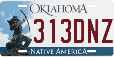 OK license plate 313DNZ