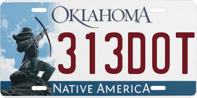 OK license plate 313DOT