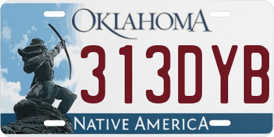 OK license plate 313DYB