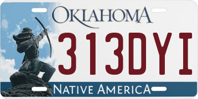 OK license plate 313DYI