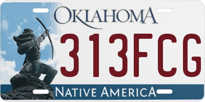 OK license plate 313FCG