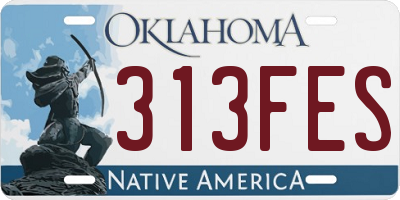 OK license plate 313FES