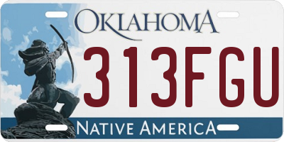 OK license plate 313FGU