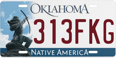 OK license plate 313FKG