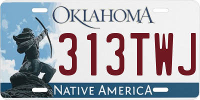 OK license plate 313TWJ