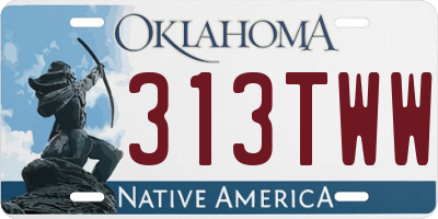 OK license plate 313TWW