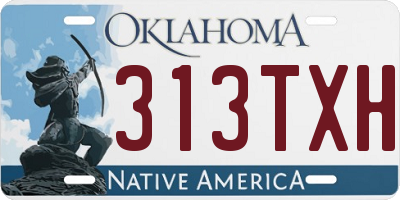 OK license plate 313TXH