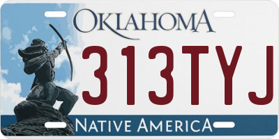 OK license plate 313TYJ