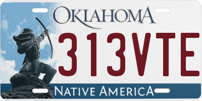 OK license plate 313VTE
