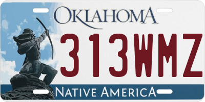 OK license plate 313WMZ