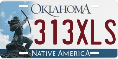 OK license plate 313XLS