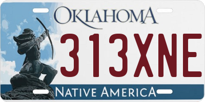 OK license plate 313XNE