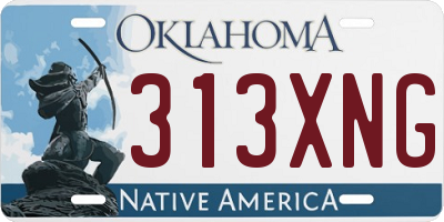 OK license plate 313XNG