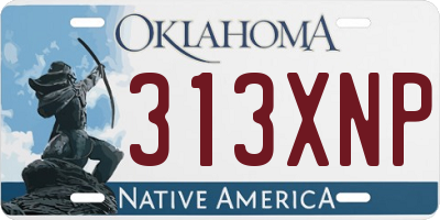 OK license plate 313XNP