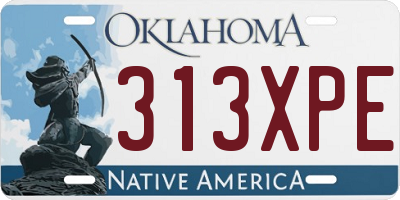OK license plate 313XPE