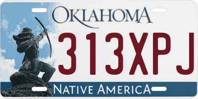 OK license plate 313XPJ