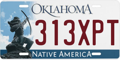 OK license plate 313XPT