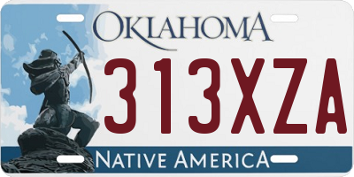 OK license plate 313XZA