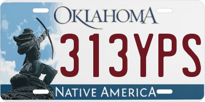 OK license plate 313YPS