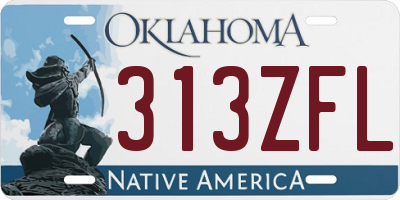 OK license plate 313ZFL