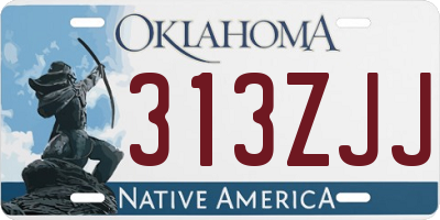 OK license plate 313ZJJ