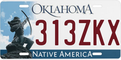 OK license plate 313ZKX