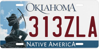 OK license plate 313ZLA