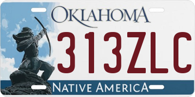 OK license plate 313ZLC