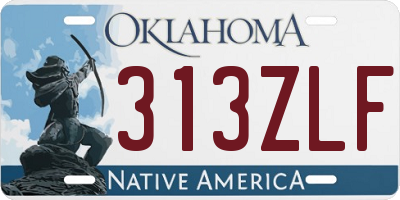 OK license plate 313ZLF