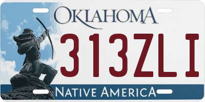 OK license plate 313ZLI