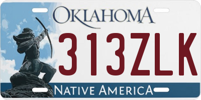 OK license plate 313ZLK