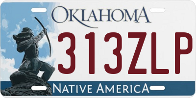OK license plate 313ZLP