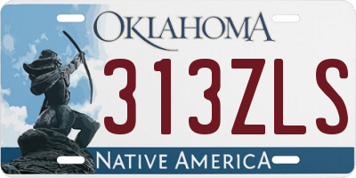 OK license plate 313ZLS