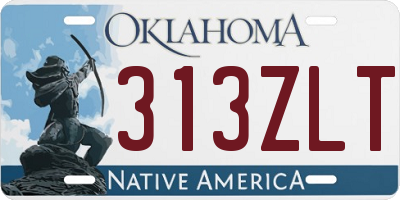 OK license plate 313ZLT