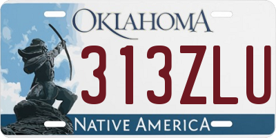 OK license plate 313ZLU