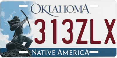 OK license plate 313ZLX