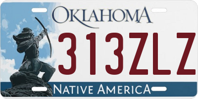 OK license plate 313ZLZ