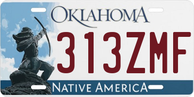 OK license plate 313ZMF