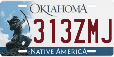 OK license plate 313ZMJ