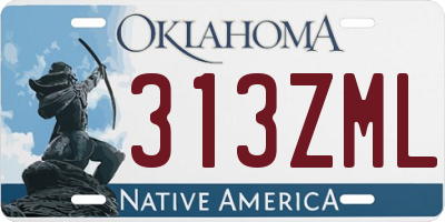OK license plate 313ZML