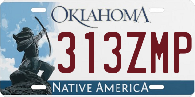 OK license plate 313ZMP