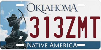 OK license plate 313ZMT