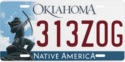 OK license plate 313ZOG