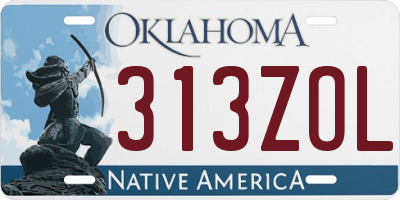 OK license plate 313ZOL