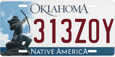 OK license plate 313ZOY
