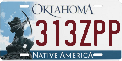 OK license plate 313ZPP