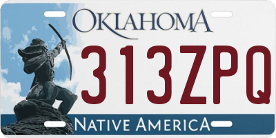 OK license plate 313ZPQ